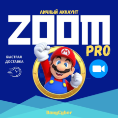 Подписка Zoom Workplace Pro на 1-12 месяцев