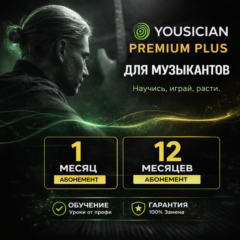 Yousician Premium+ 1-12 MONTHS | ON YOUR ACCOUNT