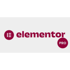 Elementor pro agency plan unlimited website