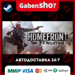 Homefront®: The Revolution СТИМ Steam Gift
