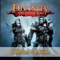 Divinity Original Sin Collector&acute;s Edition | Steam Ключ | РФ+СНГ