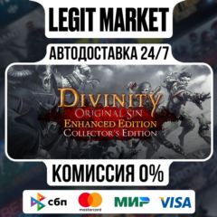 Divinity: Original Sin Enhanced Edition - Collector&acute;s Edition / Steam АВТО / РУ + МИР