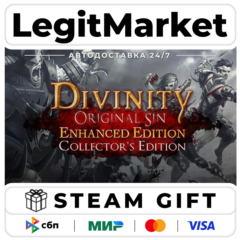 Divinity: Original Sin Enhanced Edition - Collector&acute;s Edition / Steam АВТО / РУ + МИР