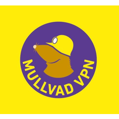 ⭐ Mullvad VPN ⭐ Подписка на 30/60/90 дней | НА ВАШ АККАУНТ