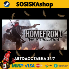 Homefront®: The Revolution + ВЫБОР РЕГИОНА STEAM