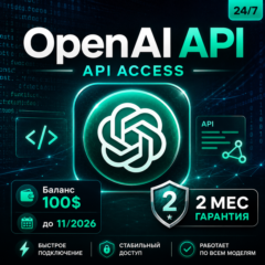 OpenAI API / API Access - $100 Credits - ChatGPT