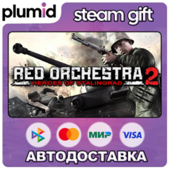 RO2 with Rising Storm Steam Gift / Россия + МИР / АВТО
