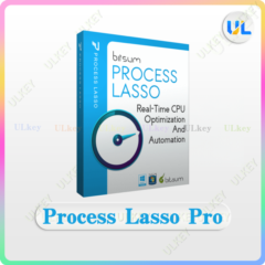 Process Lasso Pro на 1 год или бессрочно, ключ активации для Windows