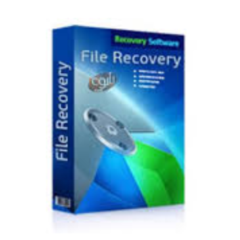RS File Recovery Unlimited Edition Win/Mac/Linux пожизненный ключ