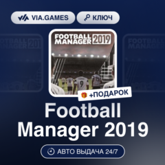 Football Manager 2019 (Steam Ключ) Европейский Союз + ПОДАРОК