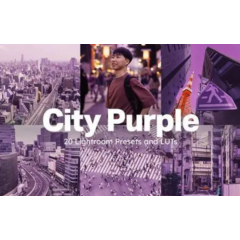 Набор из 20 пресетов City Purple для Lightroom и LUT-файлов
