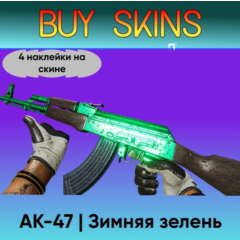 AK-47 | Зимняя зелень (4 наклейки на скине) [CS 2]