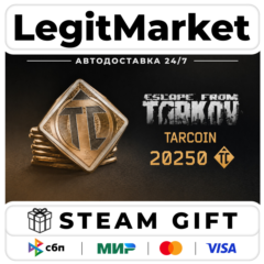 DLC Escape from Tarkov: TarCoin Ingame Currency - 20250 / Steam АВТО / РУ + МИР