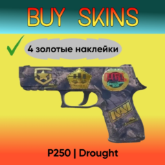 P250 | Безводье ( 4 золотые наклейки ) [CS 2]