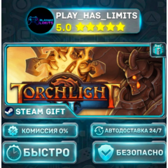 🎁Torchlight II *RU/BY/UA/СНГ Steam Auto