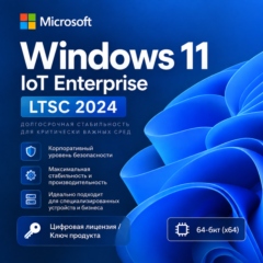 Windows 11 IoT Enterprise LTSC 2024 | Ключ продукта