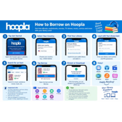 Hoopla License account 1 Months