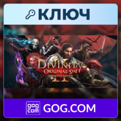 Divinity: Original Sin 2 (Definitive Edition) | GOG | Ключ | Весь мир
