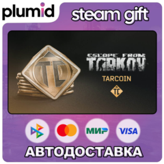 DLC Escape from Tarkov: TarCoin Ingame Currency - 20 Steam Gift / Россия + МИР / АВТО
