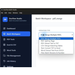 DocFlow Batch Studio — PDF, Excel, CSV и Word для Windows
