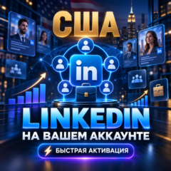 🇺🇸 USA Виртуальная платёжная карта для оплаты LinkedIn | На вашем аккаунте