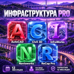 Autodesk Инфраструктура Pro — 12 месяцев, на ваш аккаунт