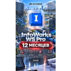 Autodesk InfoWorks WS Pro — 12 месяцев, на ваш аккаунт