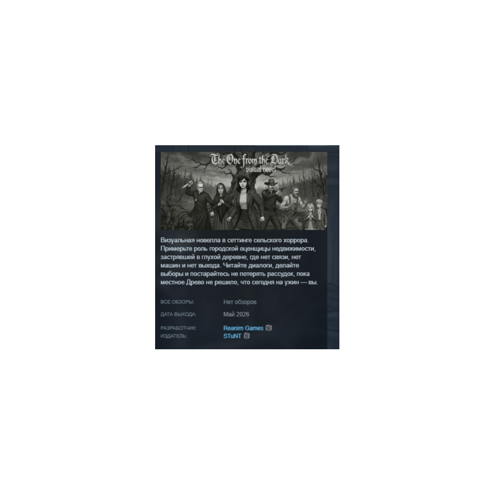 Visual novel: The One from the Dark STEAM KEY РФ+СНГ+GLOBAL ЛИЦЕНЗИЯ СТИМ КЛЮЧ