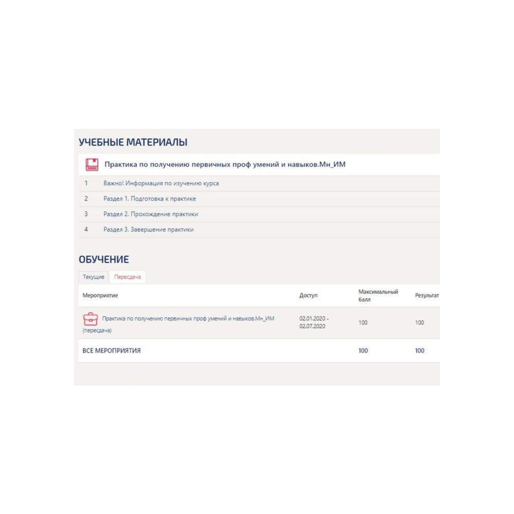 Практика Интернет-маркетинг (Синергия Мн_ИМ)
