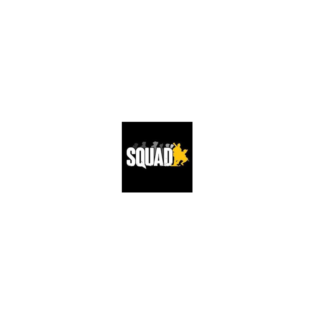 🔫 SQUAD / COMMANDER EDITION 🔵 (STEAM/РФ) КЛЮЧ