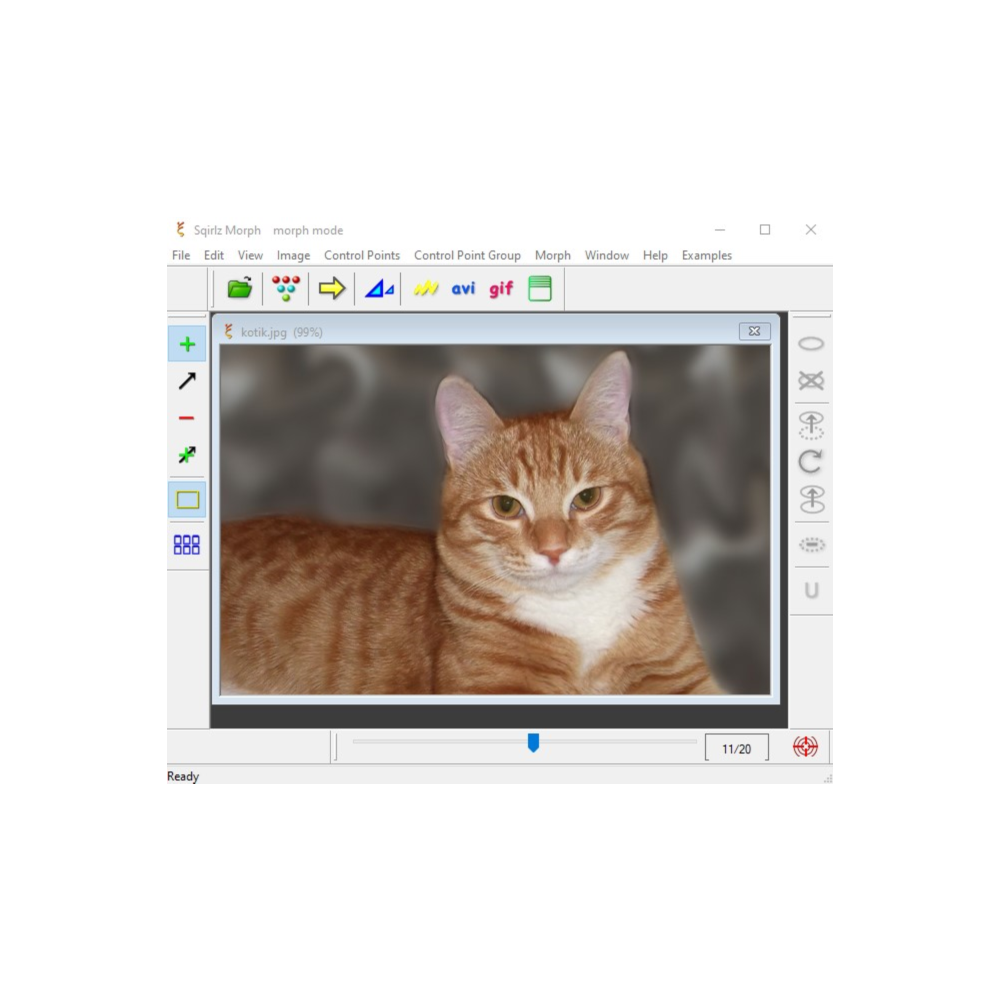 Руководство: морфинг в программе Sqirlz Morph