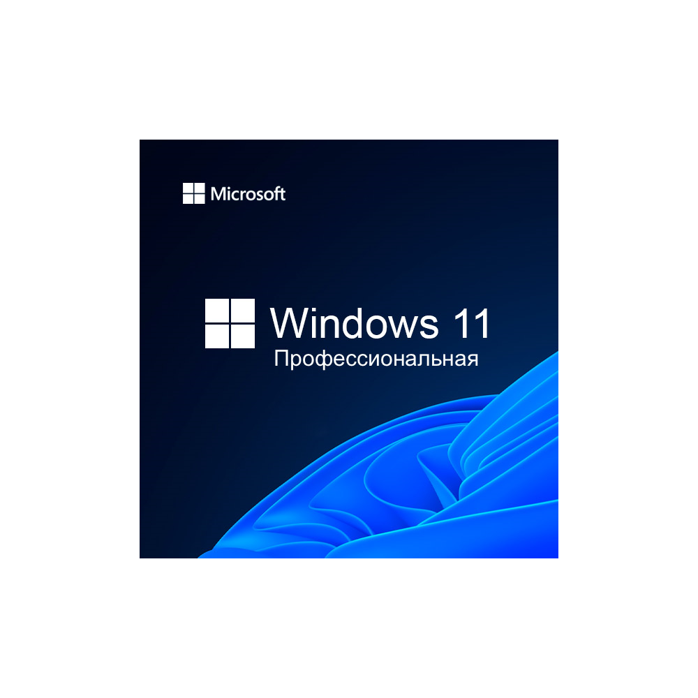 Windows 10 / 11 Professional 32/64 Bit