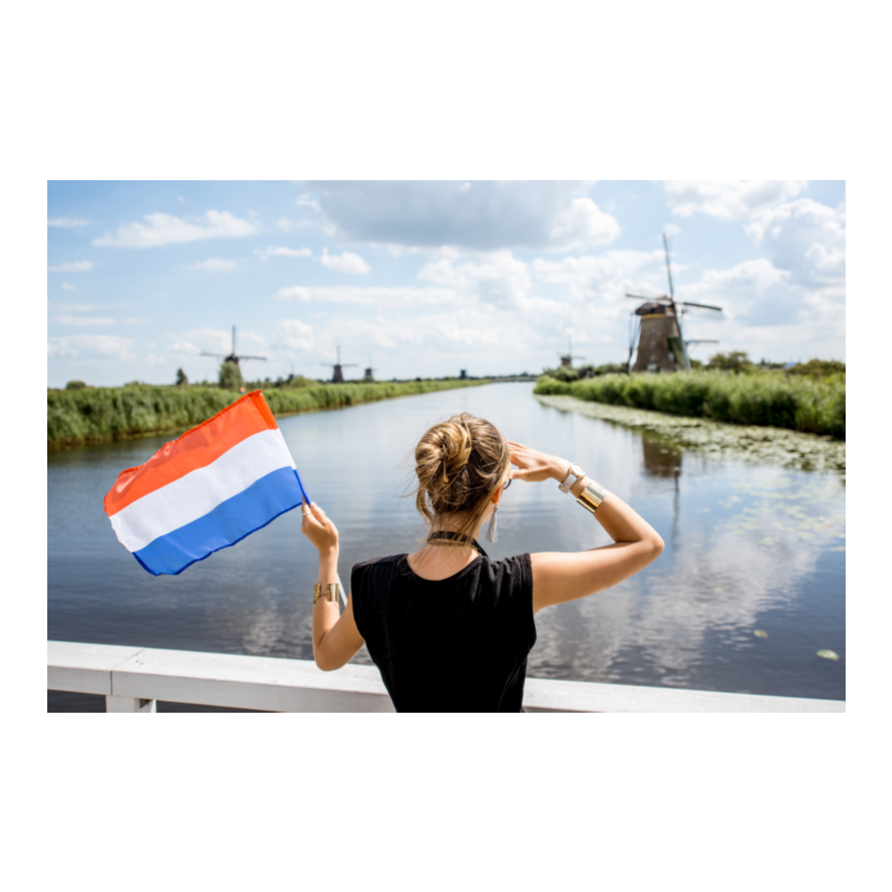 🥇Элитный прокси HTTP/SOCKS5 Нидерланды - 30/90 дней🔐