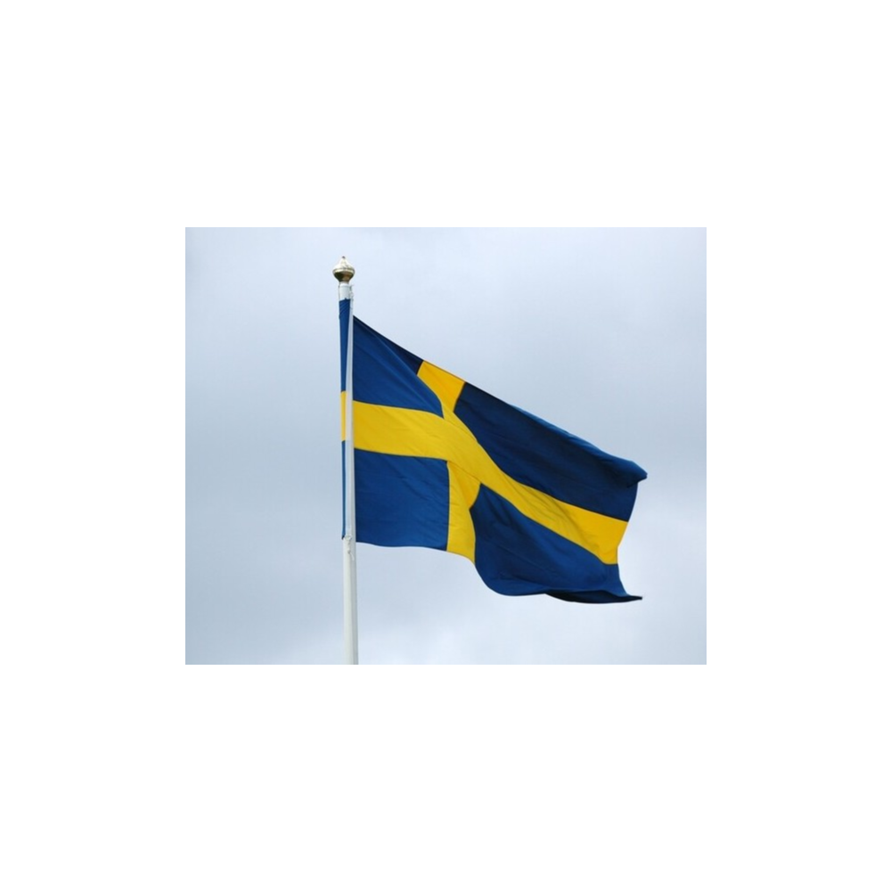 🥇Элитный прокси HTTP / SOCKS5 Швеция - 30/90 дней🔐