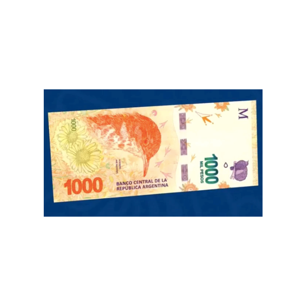 Стим - подарочные карты пополнения баланса 1000 ARS