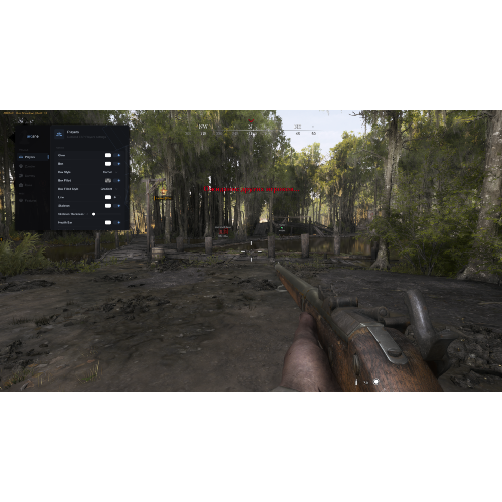 приватный чит Arcane для игры Hunt Showdown