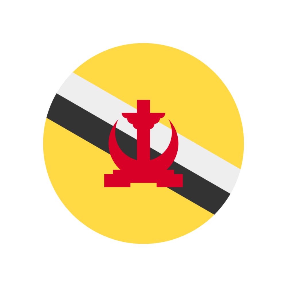 🔥 eSim Бруней ✅ сим-карта интернет от 7 дней BN