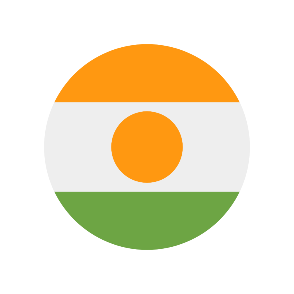 🔥 eSim НИГЕР ✅ сим-карта интернет от 7 дней NE