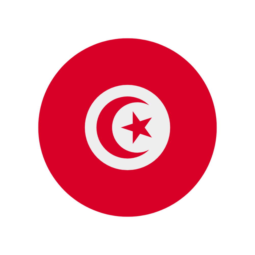 🔥 eSim ТУНИС ✅ сим-карта интернет от 7 дней TN