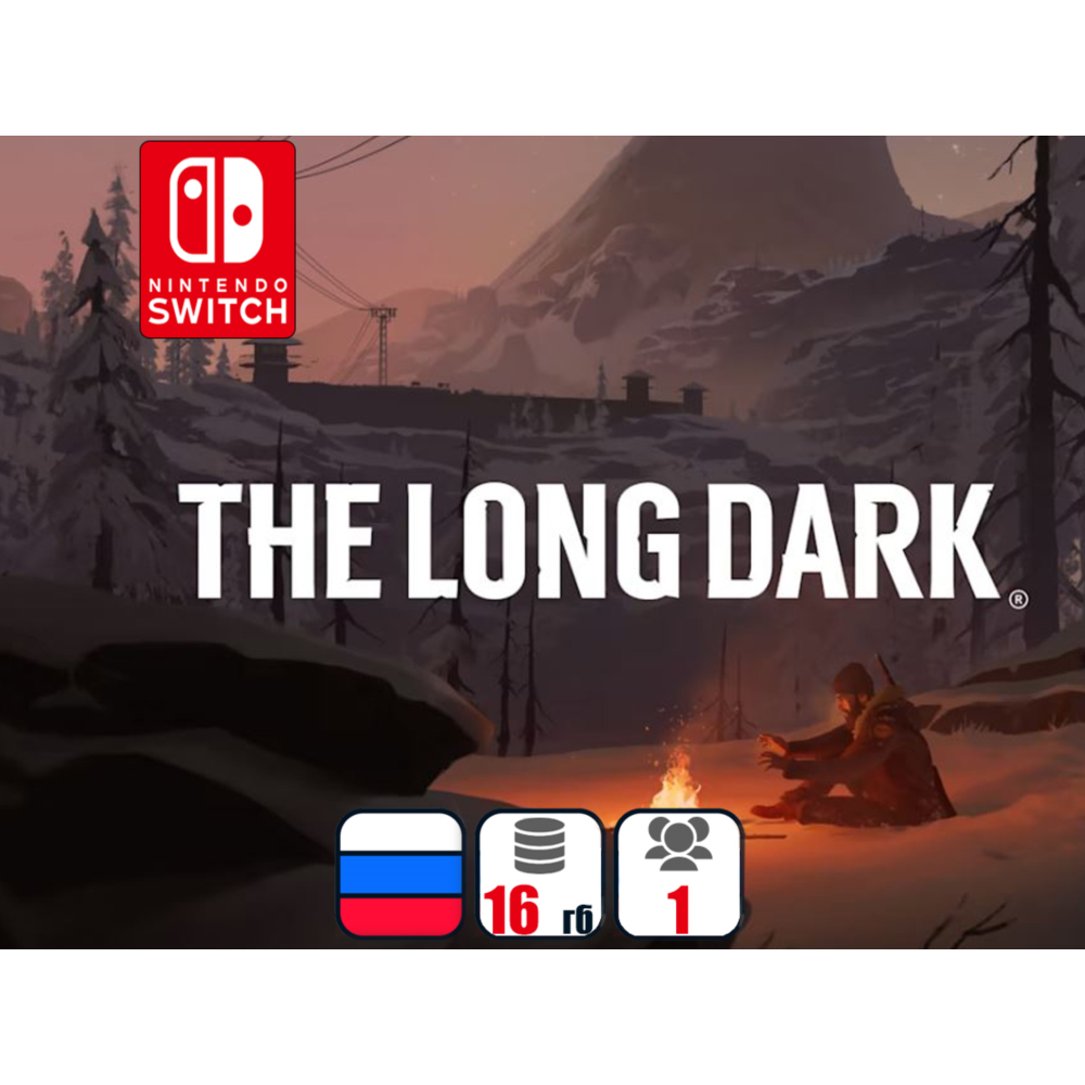 The Long Dark | Nintendo Switch 1/2