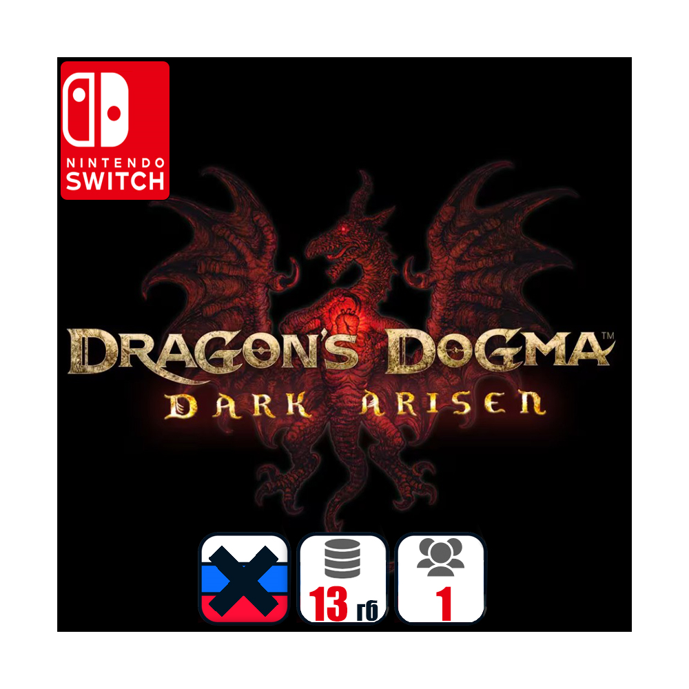 Dragon Dogma | Nintendo Switch 1/2