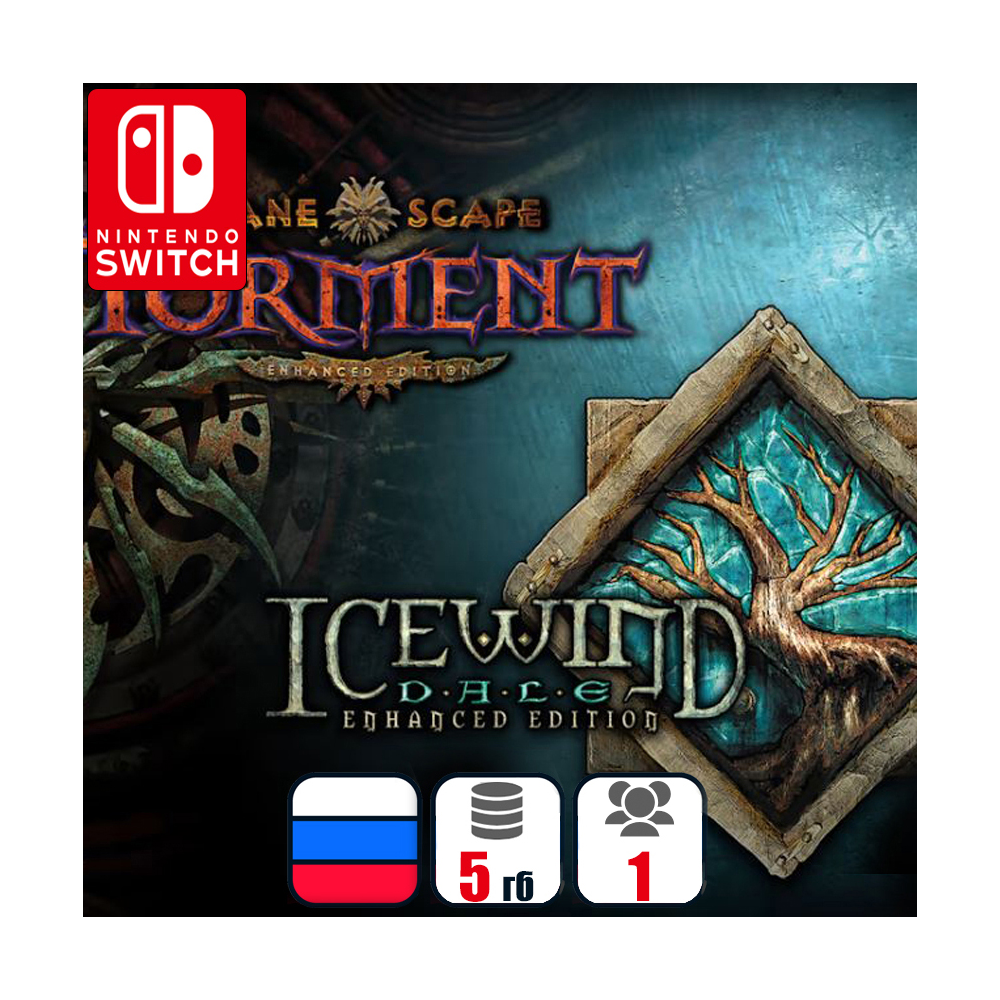 Planescape: Torment And Icewind Dale | Nintendo Switch 1/2