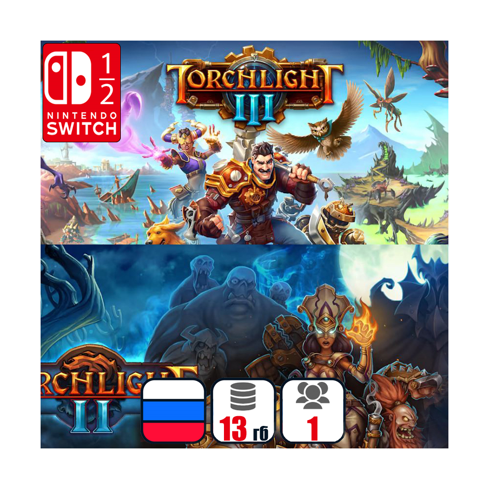 Torchlight (2+3) | Nintendo Switch 1/2