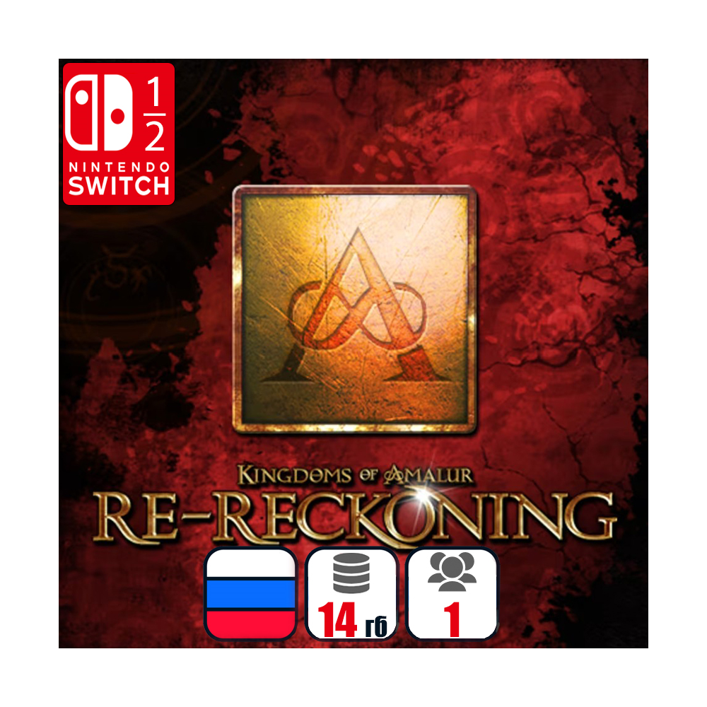 Kingdoms of Amalur: Re-Reckoning | Nintendo Switch 1/2