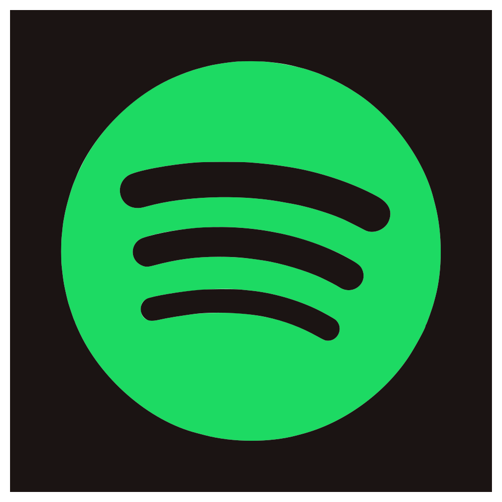 Spotify Premium 4 месяца (поддержка переноса плейлистов)
