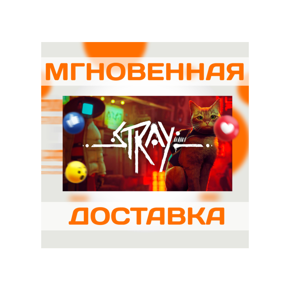 STRAY \ US \ NINTENDO SWITCH \ КЛЮЧ