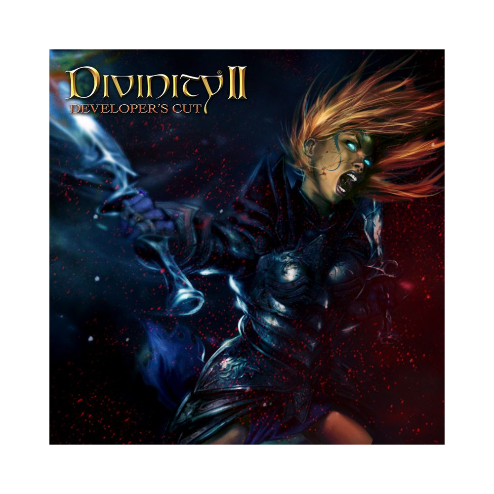 Divinity 2: Developers Cut | Steam Ключ | РФ+СНГ