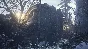 ⚡️Resident Evil 7 Gold & Village Gold | АВТОДОСТАВКА RU