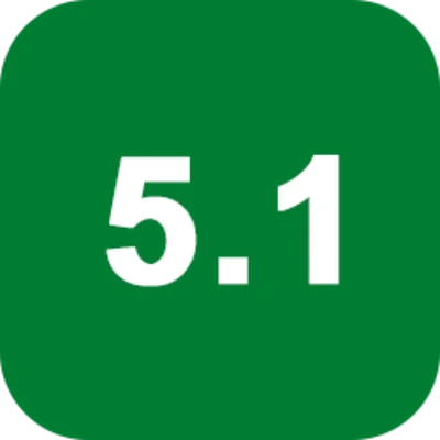 Version 19 DHS 5.1