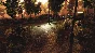 ⭐️ DESOLATE Steam Gift ✅ АВТОВЫДАЧА 🚛 ВСЕ РЕГИОНЫ 🌏